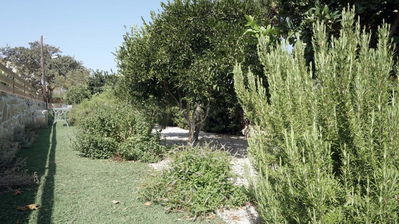Studio Eleni - Oasis Holiday Houses Kokkinos Pyrgos Eksteriør billede
