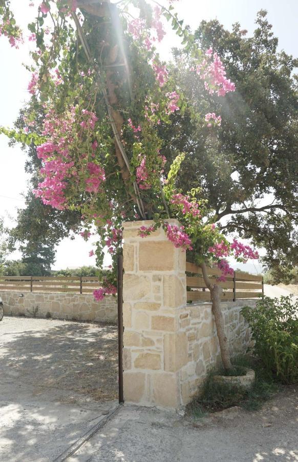 Studio Eleni - Oasis Holiday Houses Kokkinos Pyrgos Eksteriør billede