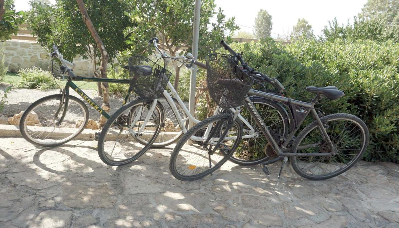 Studio Eleni - Oasis Holiday Houses Kokkinos Pyrgos Eksteriør billede