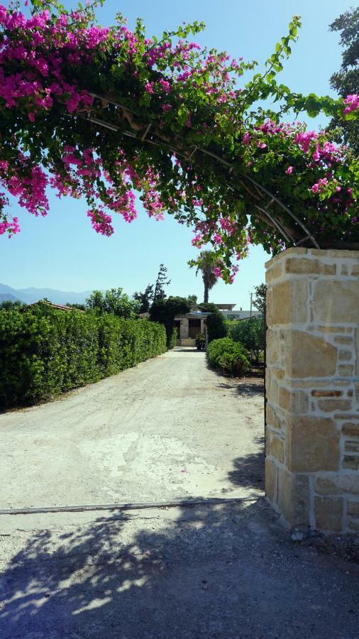Studio Eleni - Oasis Holiday Houses Kokkinos Pyrgos Eksteriør billede